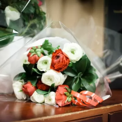 Illustration Inauguration Officielle