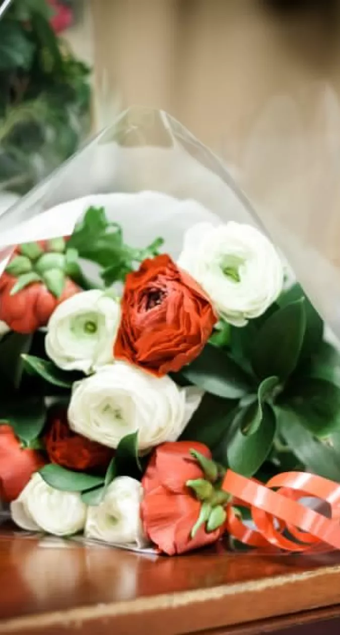 Illustration : Inauguration Officielle