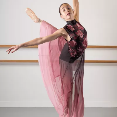 Illustration Printemps de la Danse : 5 ème Édition