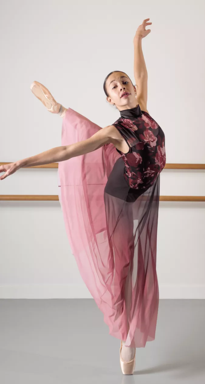 Illustration : Printemps de la Danse : 5 ème Édition