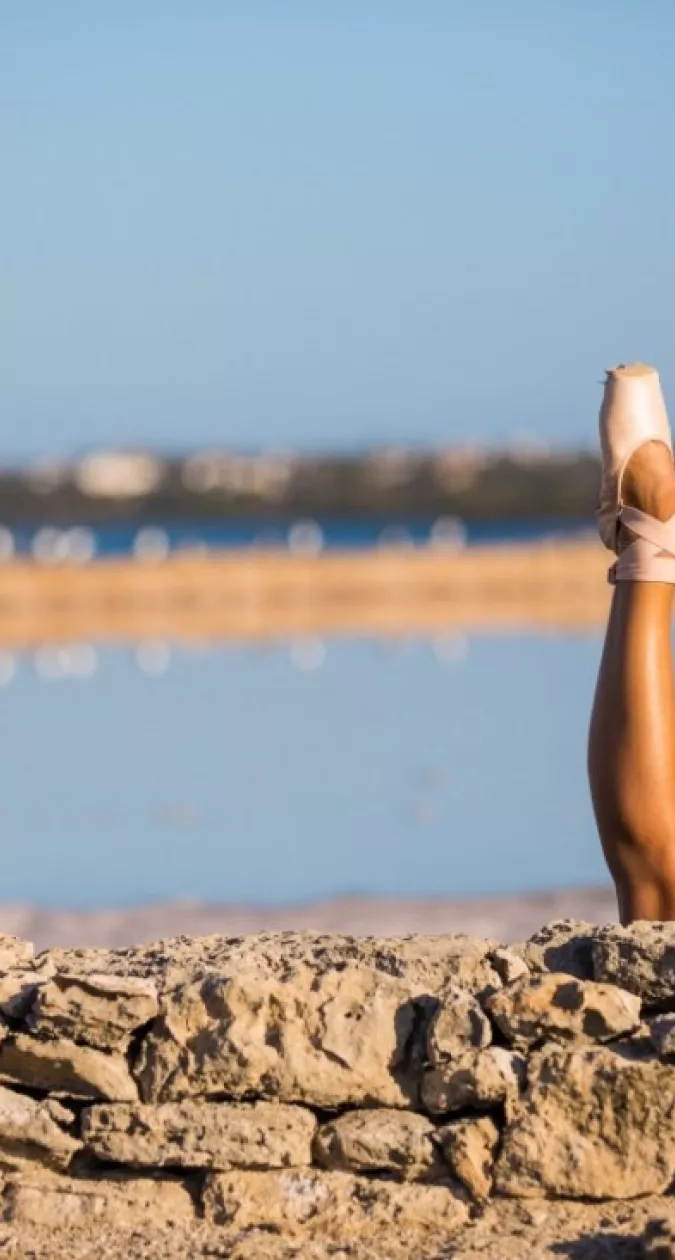 Illustration : Stage d'été 2019 : Toutes disciplines