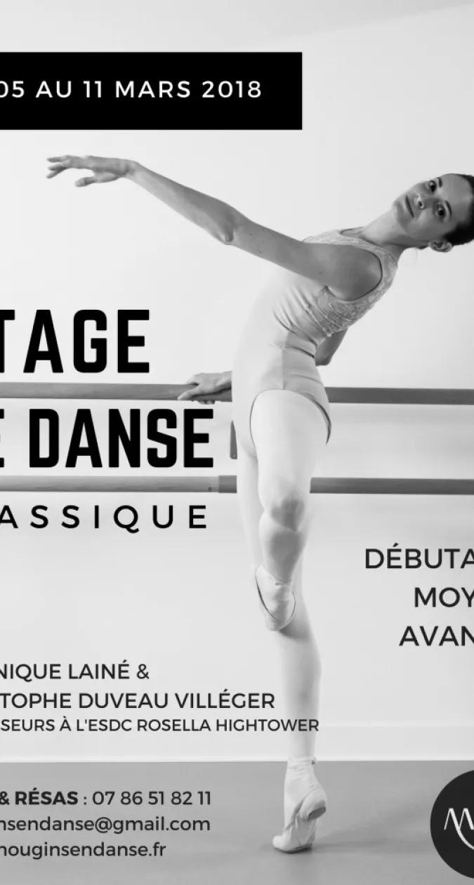 Illustration : Stage d'Hiver