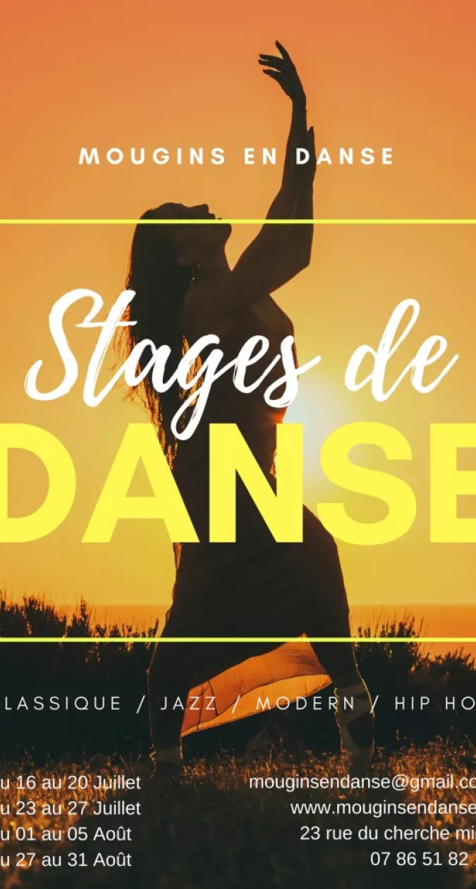 Illustration : Stages d'été