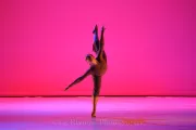 Galerie: image-1