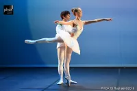 Galerie: image-9