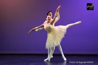 Galerie: image-4