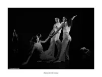 Galerie: image-1