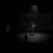 Galerie: image-9