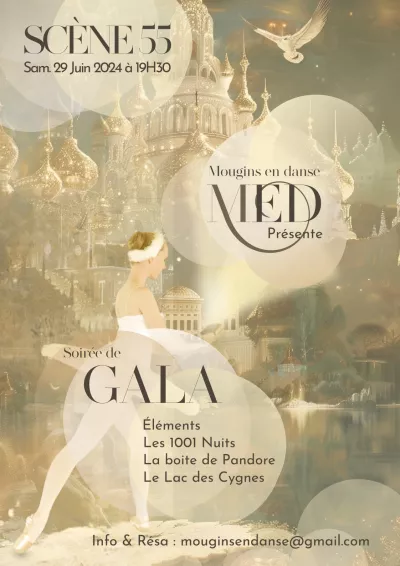 Illustration SOIRÉE DE GALA : Éléments, 1001 Nuits, Pandore & Le Lac des Cygnes